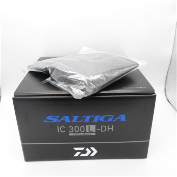 ２３ソルティガ　ＩＣ３００Ｌ－ＤＨ